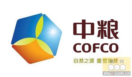 磊石跨文化服务中粮国际